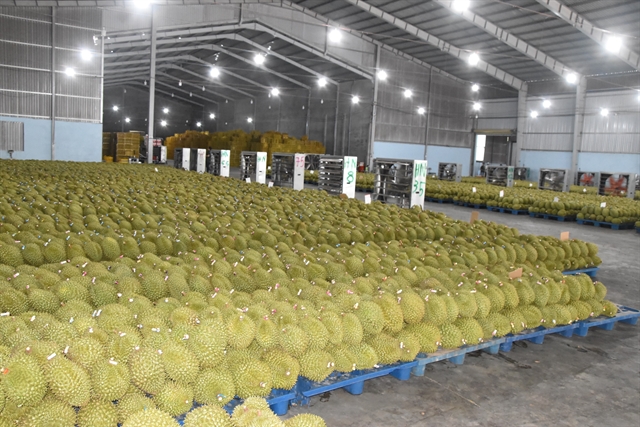 Fruit and vegetable exports hit nearly $3 billion in five months